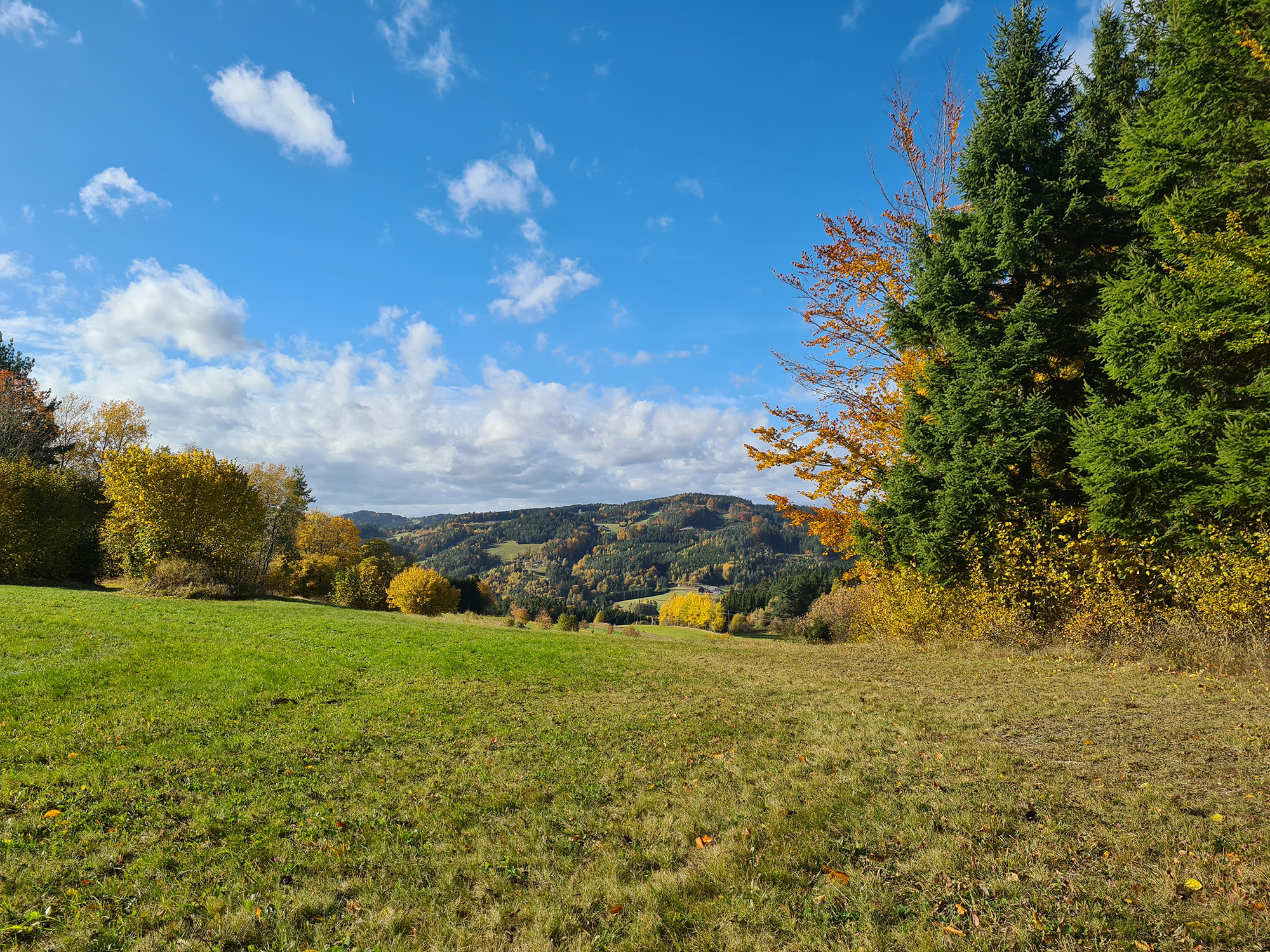 Schindelmacherweg